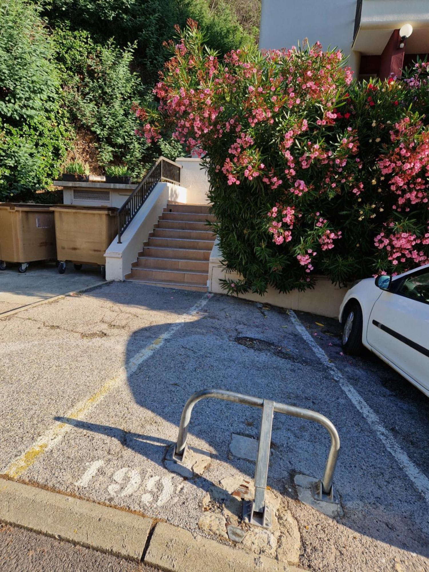 Appartement Amelie Les Bains Au Pied Des Thermes Dış mekan fotoğraf